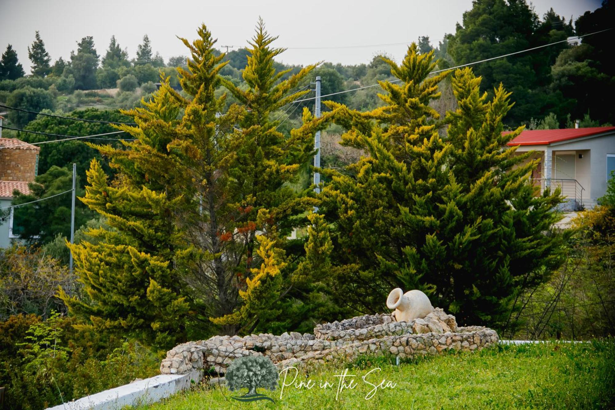 Pine In The Sea Nikiti-Sithonia Apartamento Exterior foto